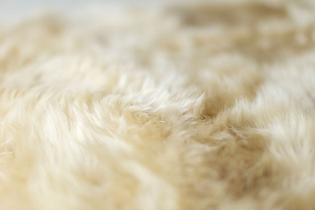 Big Fur Suelo® Bench - For Bertu Home - 4225