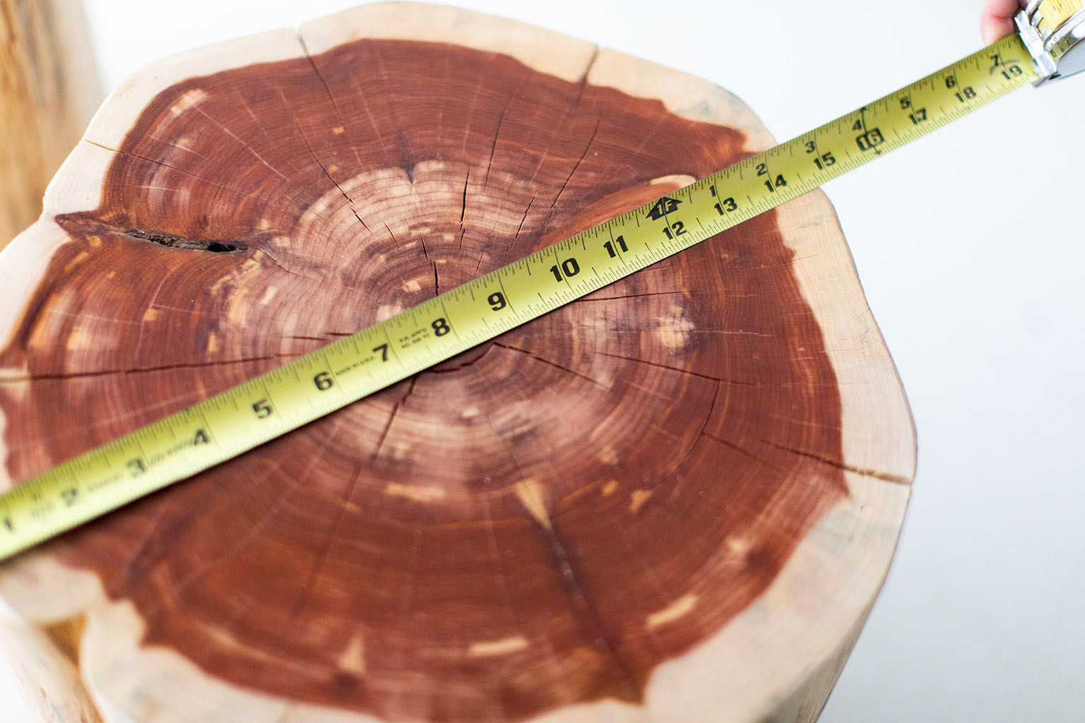 Large Tree Stump Side Tables - 1419 - Natural