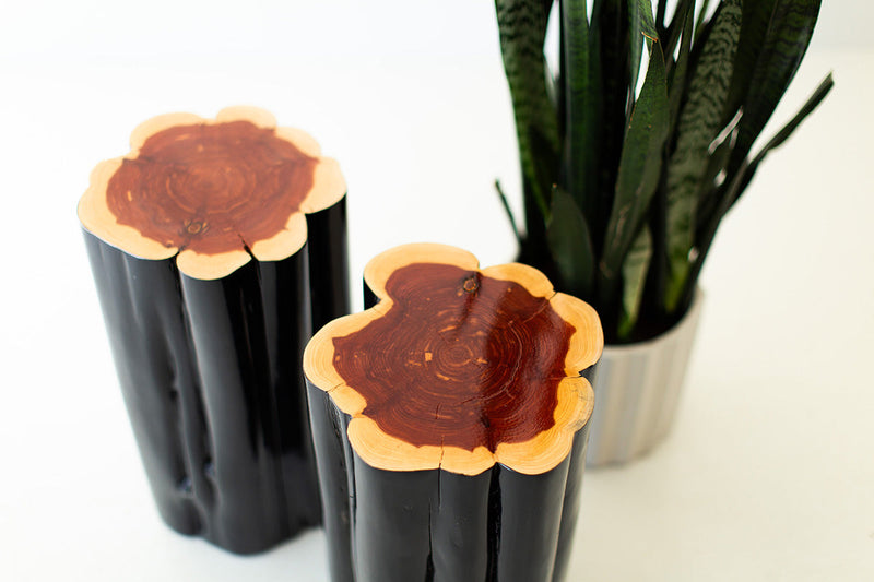 Two black outdoor stump tables with natural tops beside a plant
