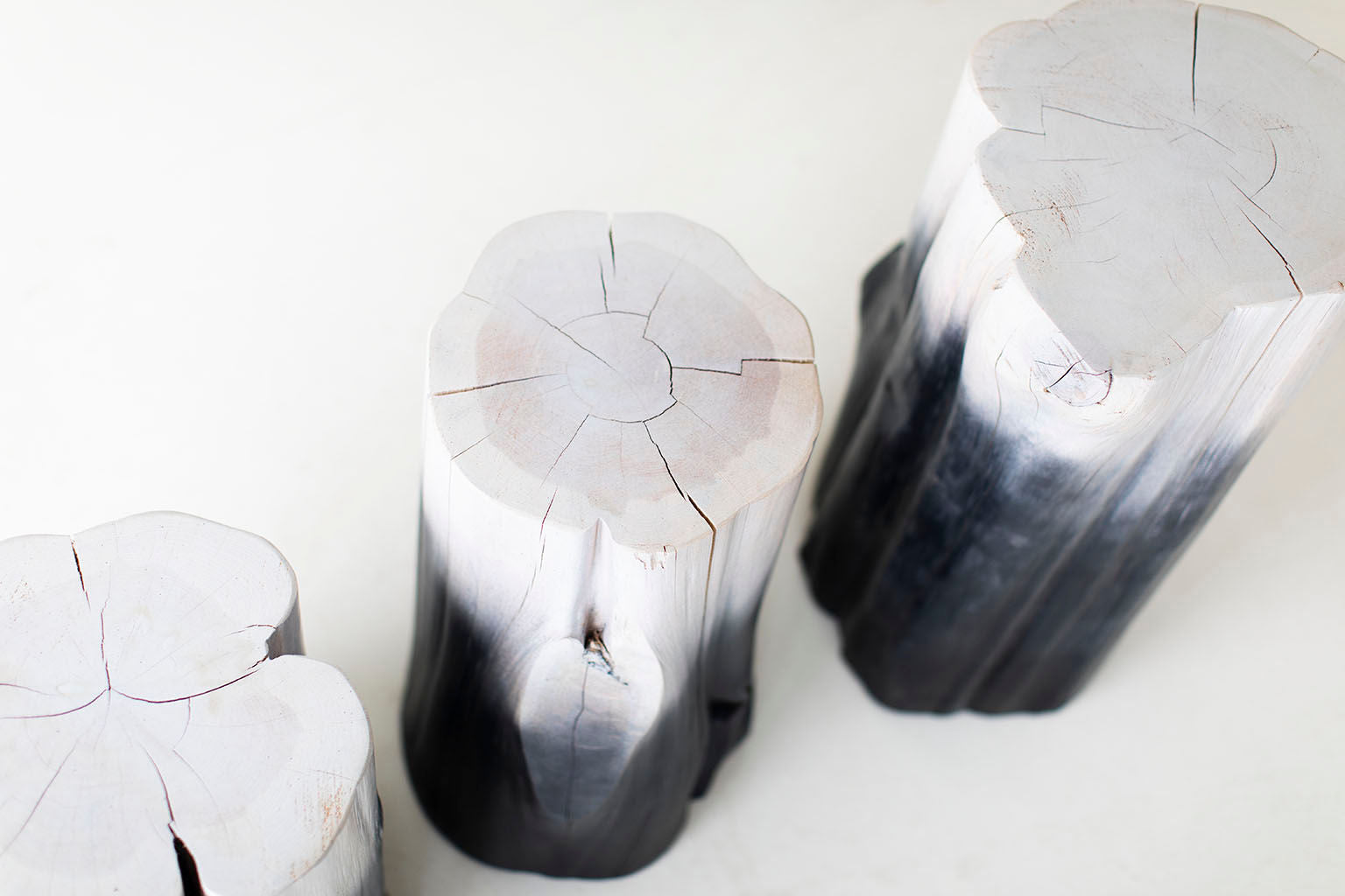 Drift Tree Stump Tables - 1019