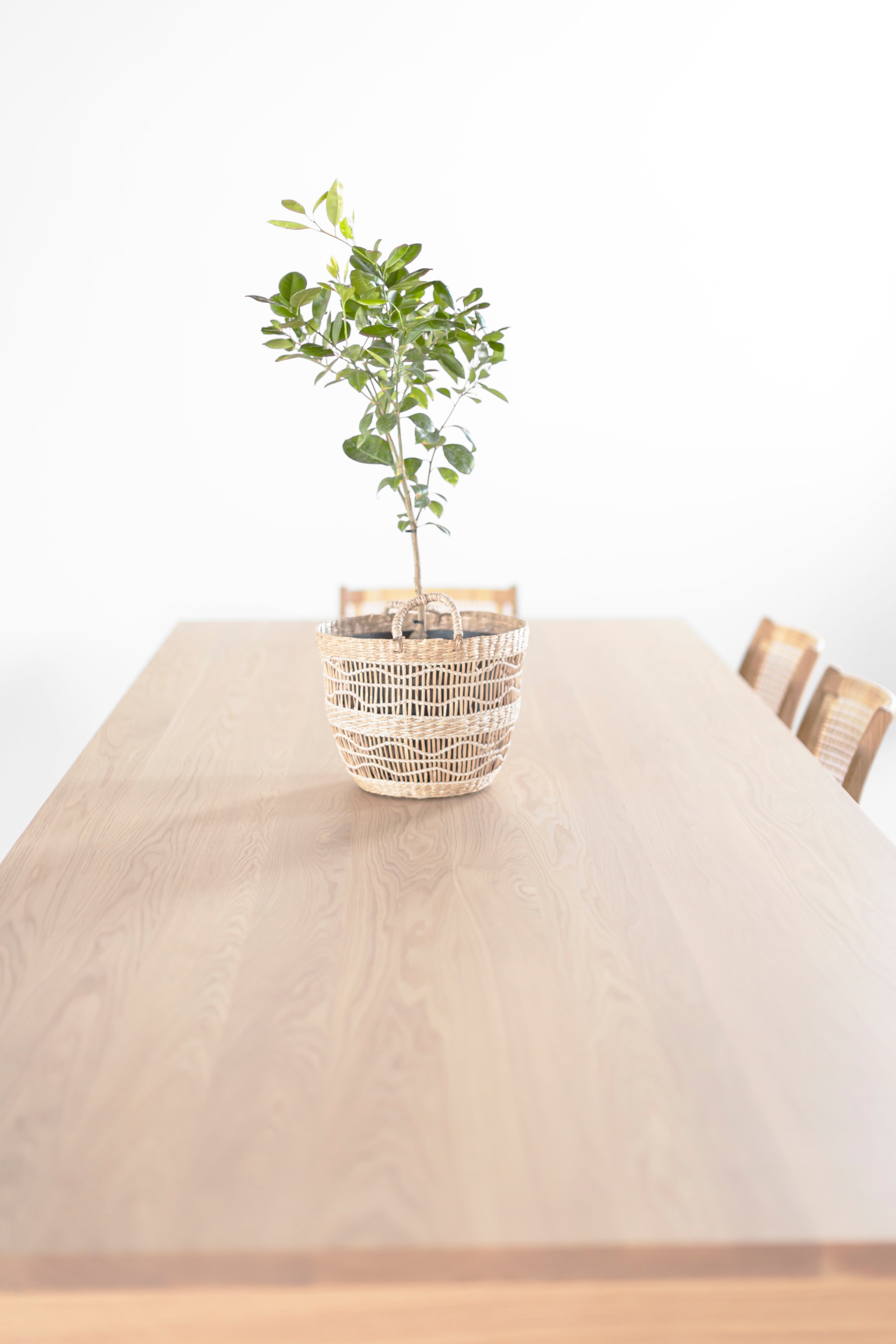 Large Christopher Table in Bleached Oak - 2526
