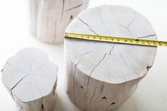 Modern luxury tree stump table styled in an outdoor lounge setting