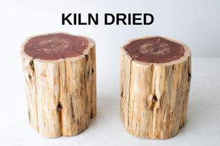 Modern natural red cedar tree stump side table, front view