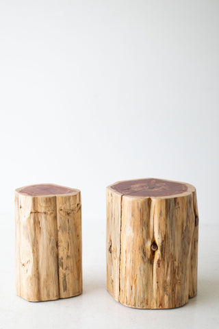 Natural stump side table in a modern living room