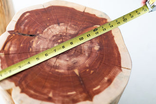 Natural tree stump used as a stool