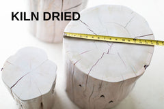 Organic modern luxury whitewash tree stump side table in red cedar, front view