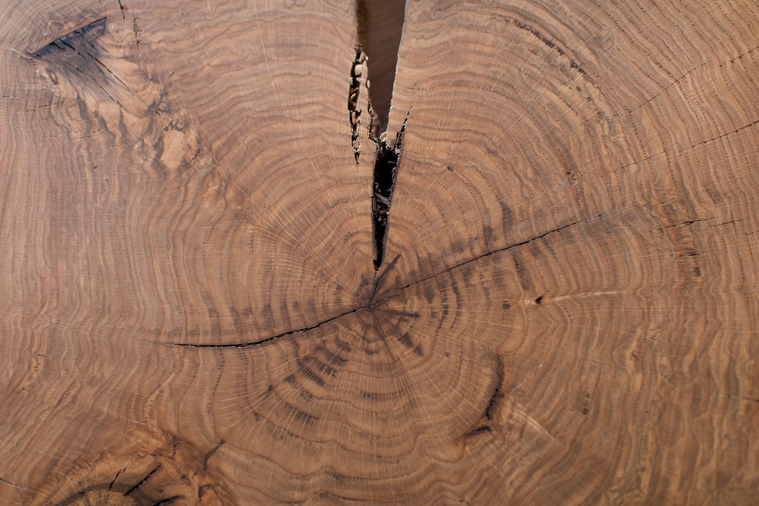 Modern-Lodge-Coffee-Table-Natural-0820-09