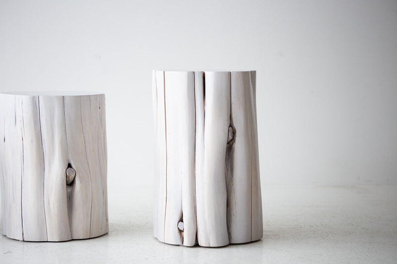 Whitewash stumps grouped together as a modern coffee table