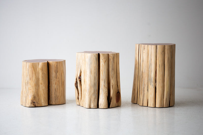 Top view of the natural red cedar tree stump table