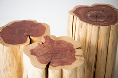 Natural stumps grouped together as a modern coffee table