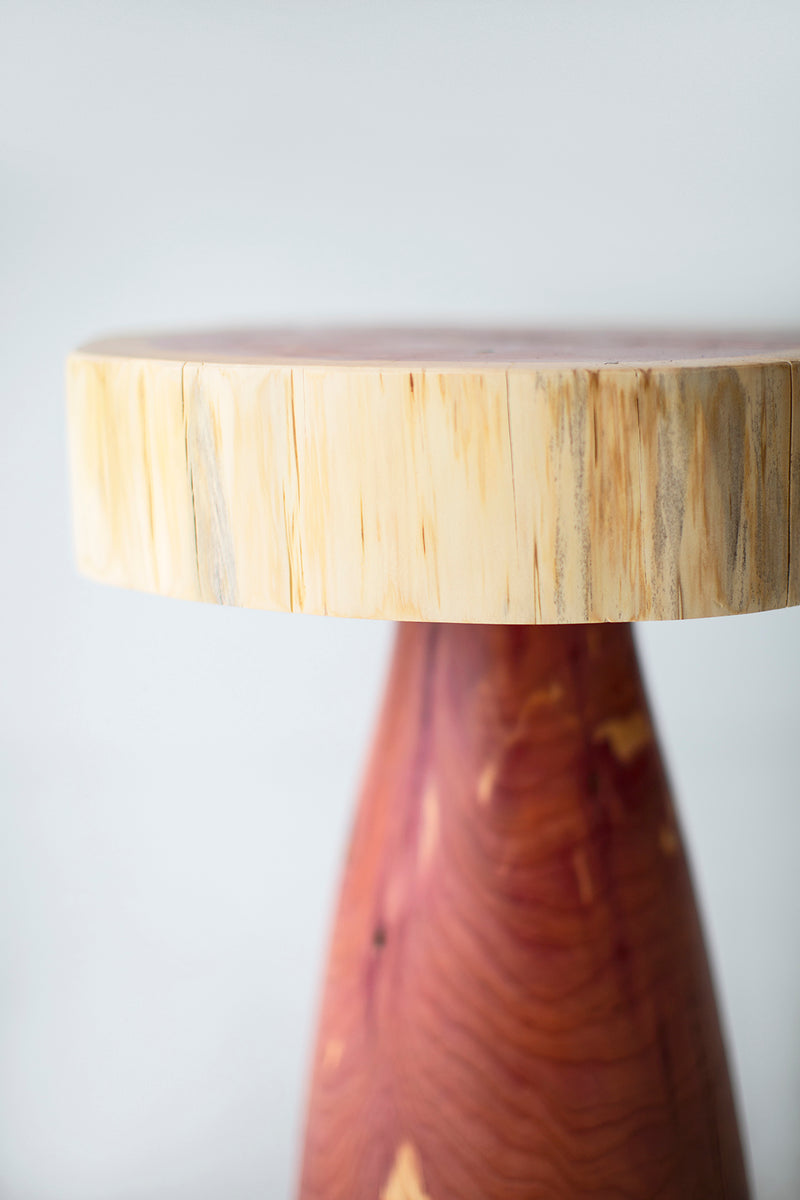Close-up of the red cedar bark detail and grain on a stump side table