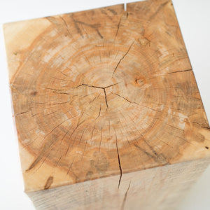 Natural-Tree-Stump-Table-02