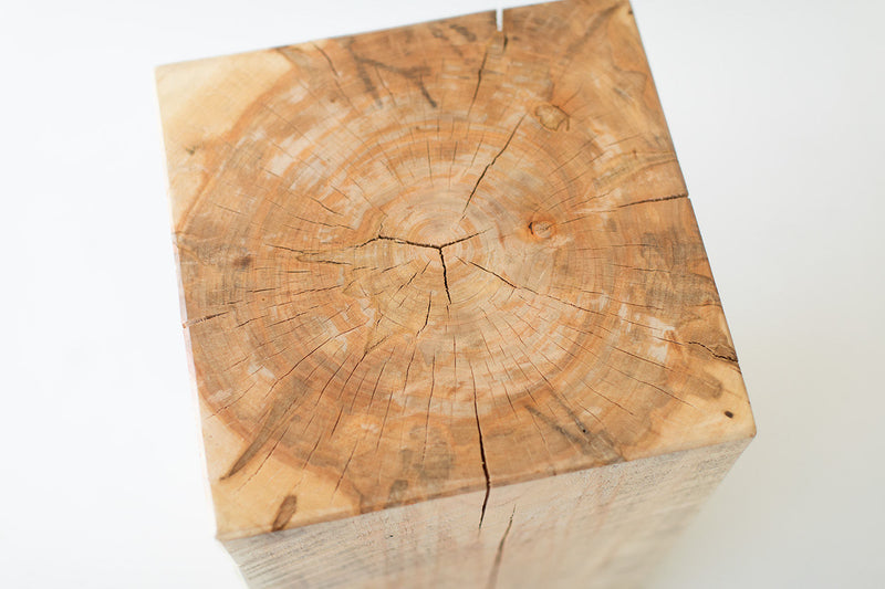 Close-up of the tree stump table's natural wood grain and characteristic surface cracking