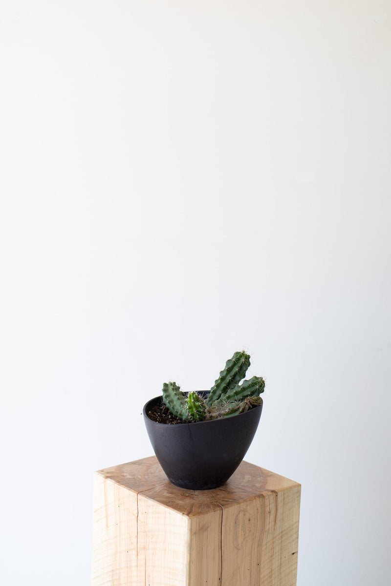 Side profile of the tree stump table highlighting its solid, rustic-modern silhouette