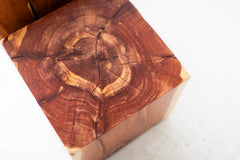 Stumps grouped together as a coffee table