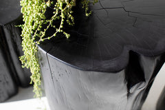 Close-up of a black outdoor stump table with a trailing plant