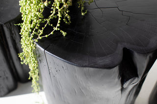 Close-up of a black outdoor stump table with a trailing plant