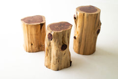 Outdoor stump table styled as a side table