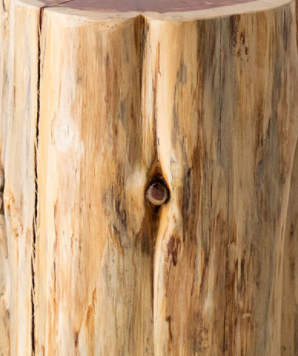 Close-up of the natural outdoor finish on red cedar