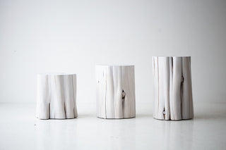 Whitewash red cedar stumps in a row
