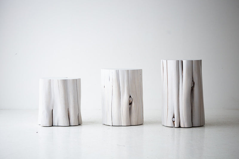 Whitewash red cedar stumps in a row