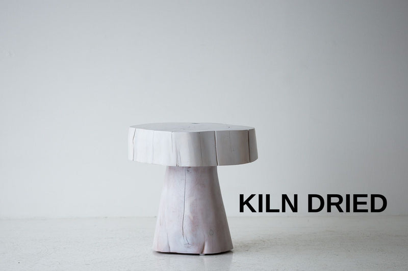 Organic modern wood stump side table by Bertu Home — The Summit, whitewash red cedar, front view