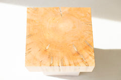Overhead view of a Viktor stump table showing the seat top