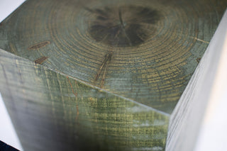 Top of the army green square maple stump