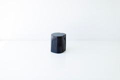 Full view of the tree stump table styled with a plant on top