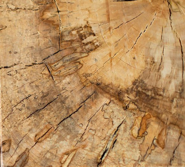 Tree-Stump-Tables-Square-12