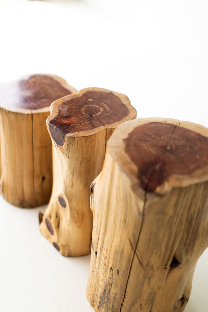 Natural red cedar stump tables seen from above at an angle