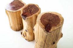 Natural red cedar stump table tops, angled close view