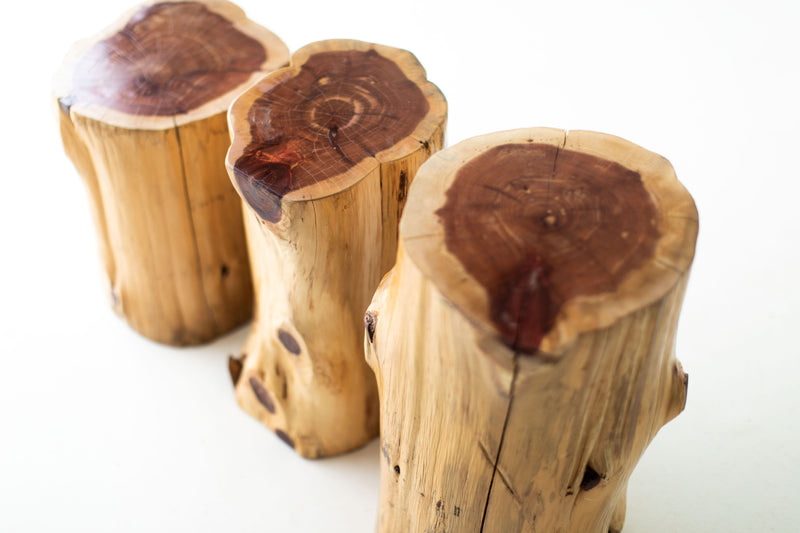 Natural red cedar stump table tops, angled close view