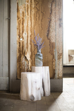 Tree stump table shown from above displaying the natural wood rings