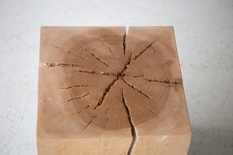 Square stumps grouped to form a modern coffee table