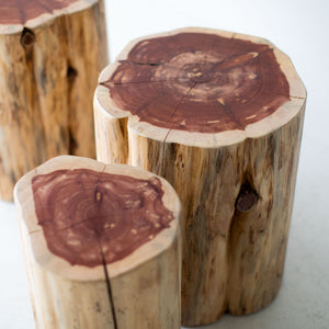 Large-Tree-Stump-Side-Tables-Natural-06