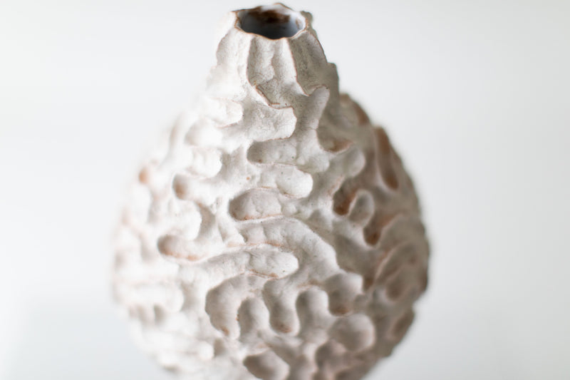 Detail of the clay coiling technique on the modern vase