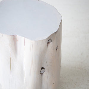 Modern-Side-Table-13_-diameter-White-Stump-05