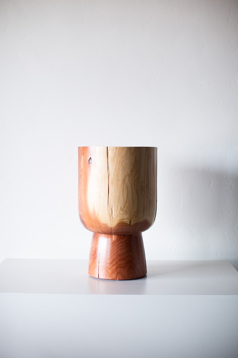 Hand-chipped bark edge on the red cedar stump