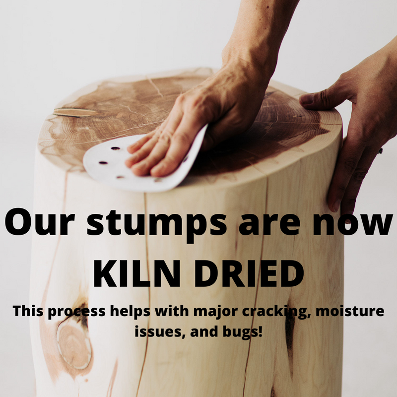 Graphic noting that the stumps are now kiln dried