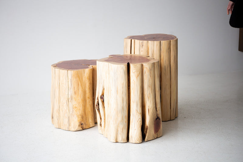 Natural cedar stumps grouped into an organic modern coffee table