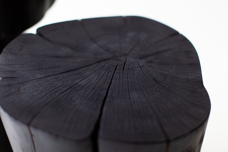 Burned black stumps grouped as an organic modern coffee table