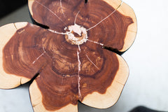 Modern luxury burned black stump table styled next to a sofa
