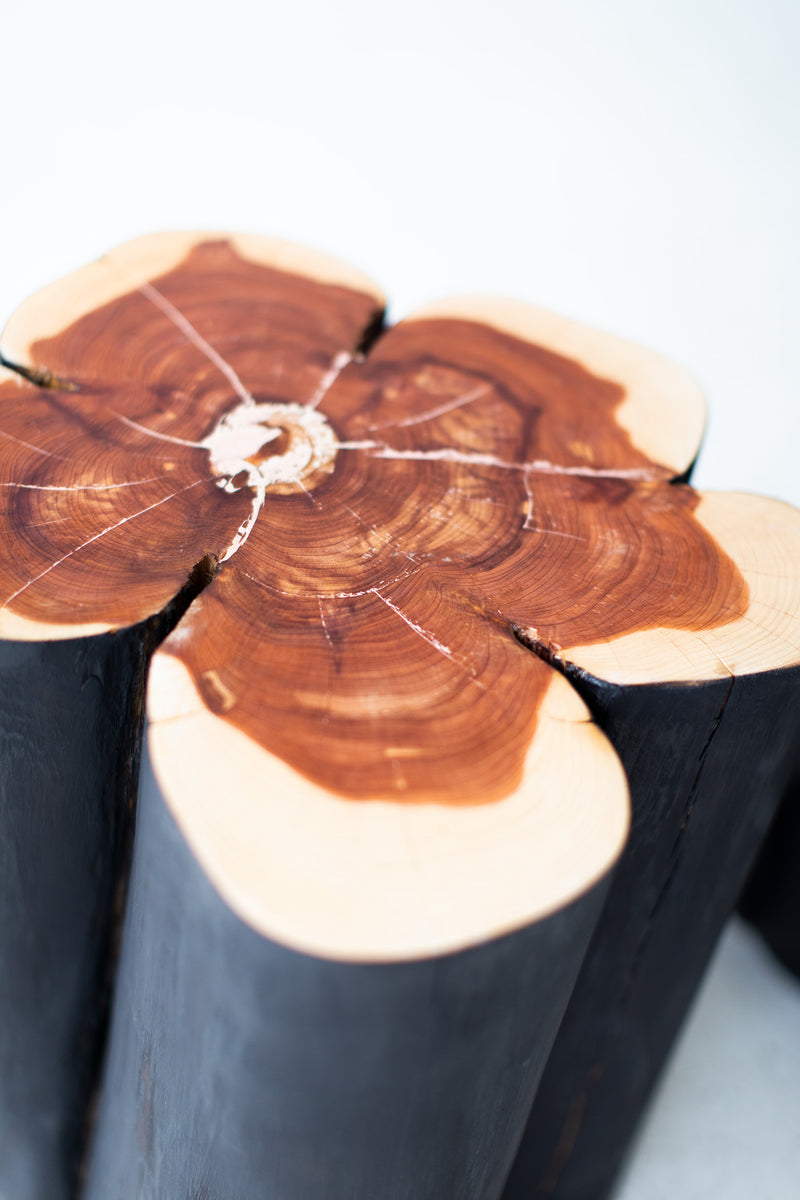 Burned black stump used as a stool